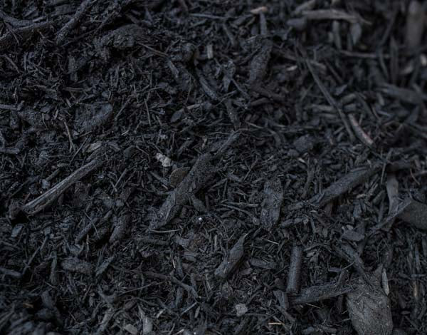 Black Cypress Mulch Blend